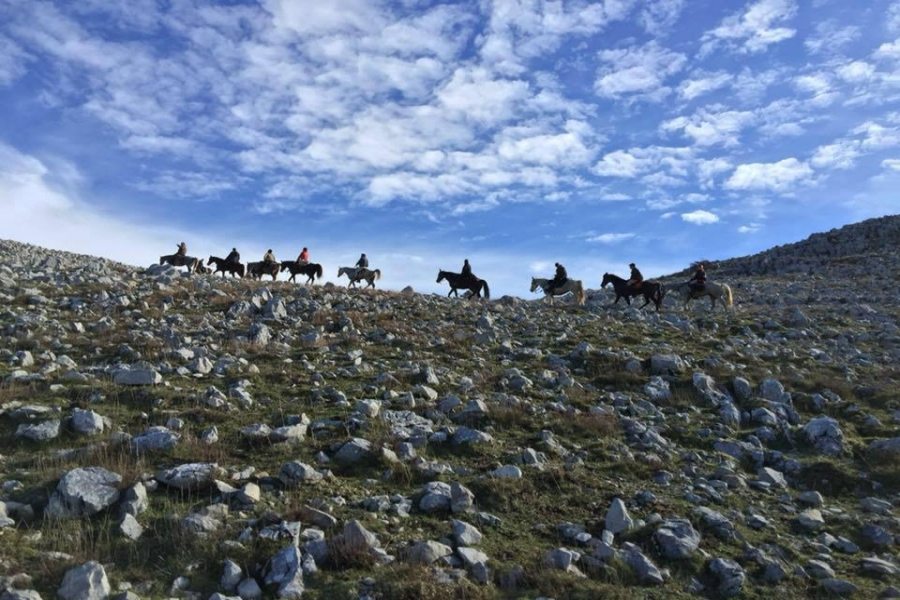  Etna & Food by Horses
